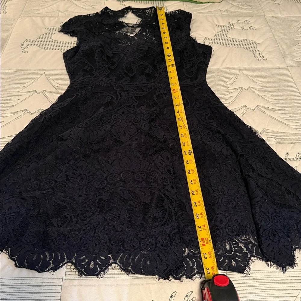 BB Dakota Elegant Dark Blue Lined Lace Dress-4